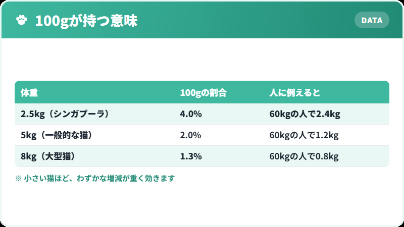 小型猫の体重管理の考え方