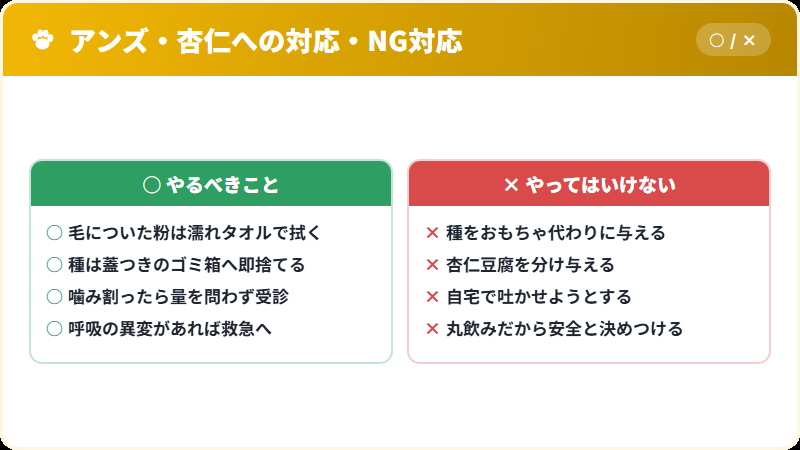 猫がアンズや杏仁に触れたときの正しい対応とNG対応