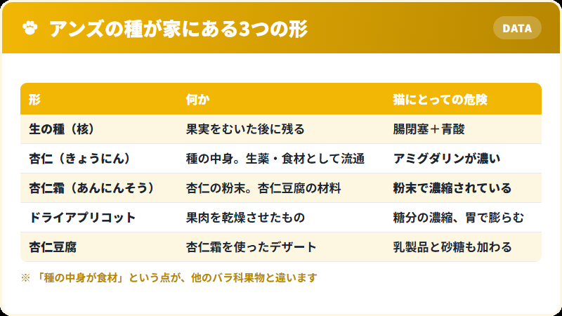 アンズの種が杏仁として食品化されていることを示す図