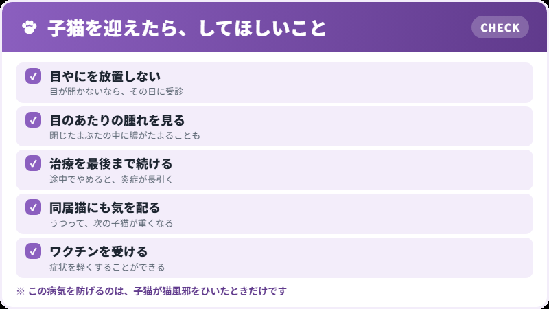 子猫のときにできること