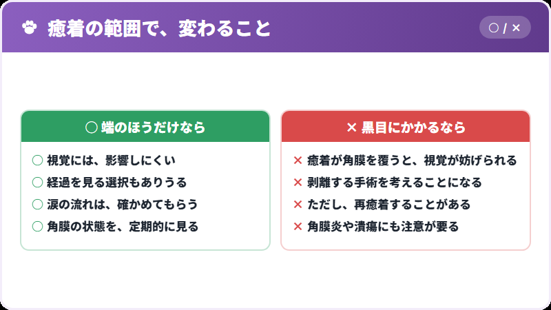 範囲による違い