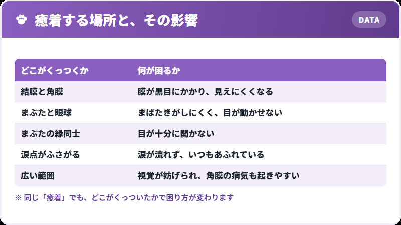 どこがくっつくか
