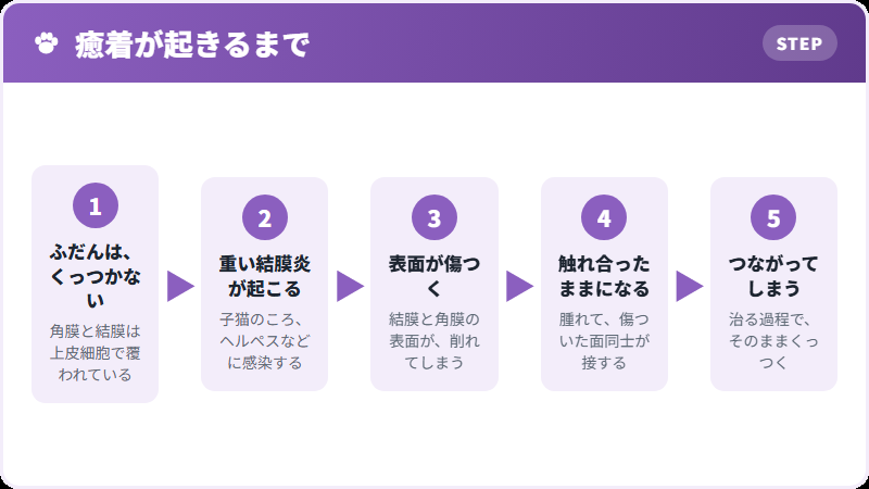 なぜくっつくのか