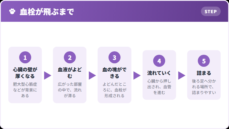 血栓ができるまで