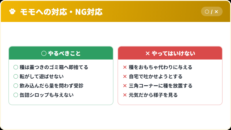 猫がモモの種に触れたときの正しい対応とNG対応