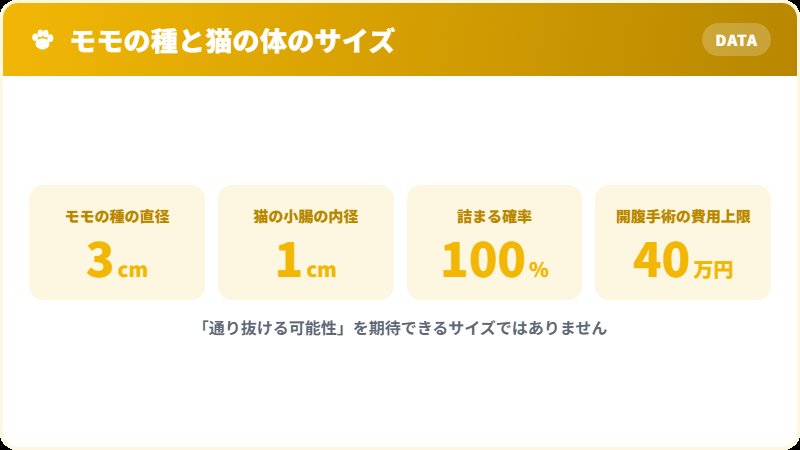 モモの種の大きさと猫の消化管の比較