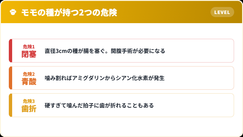 モモの種が持つ2つの危険 物理的な閉塞と青酸中毒