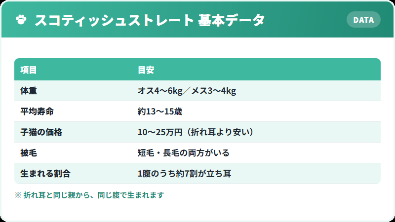 スコティッシュストレートの基本データ 体重・寿命・価格の一覧