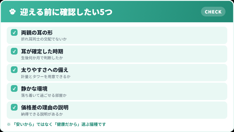 スコティッシュストレートを迎える前の確認リスト