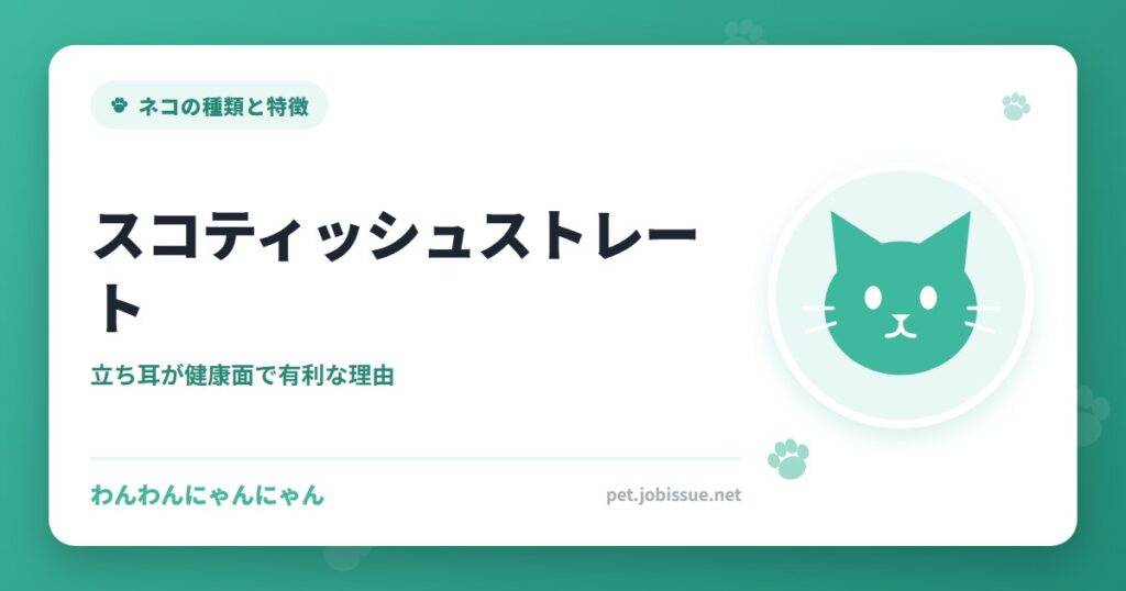 スコティッシュストレート