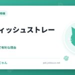 スコティッシュストレート