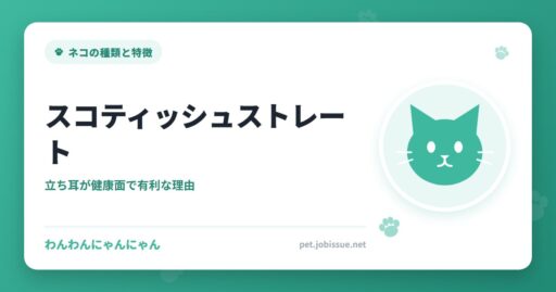 スコティッシュストレート