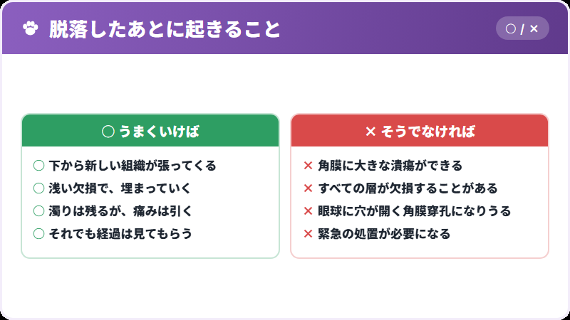 落ちたあと