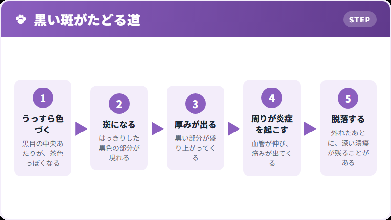 進み方