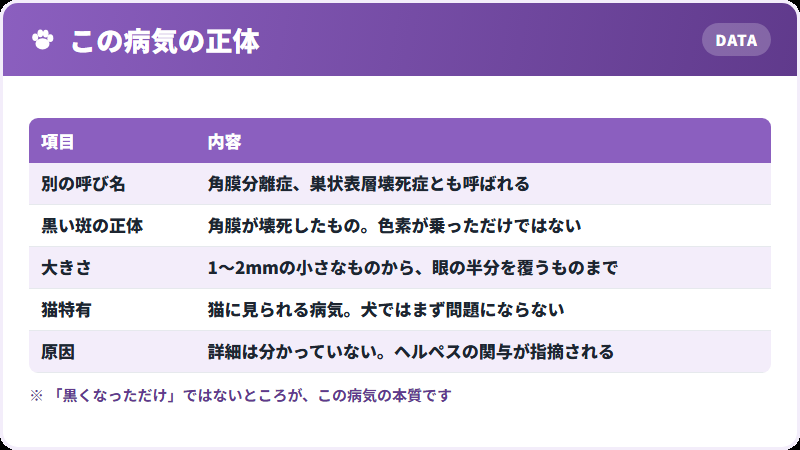 何が起きているか