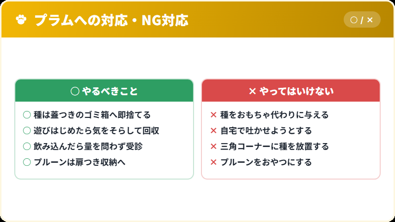 猫がプラムの種に触れたときの正しい対応とNG対応
