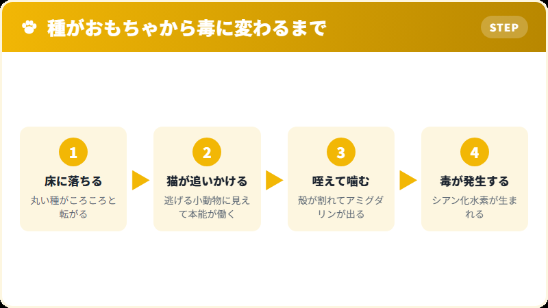 プラムの種が猫のおもちゃになってしまう理由