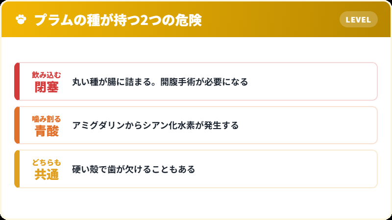 プラムの種が持つ2つの危険 腸閉塞と青酸中毒