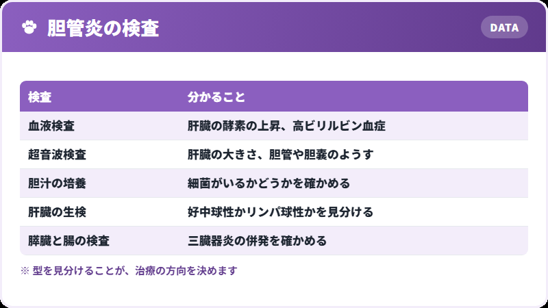 検査で分かること