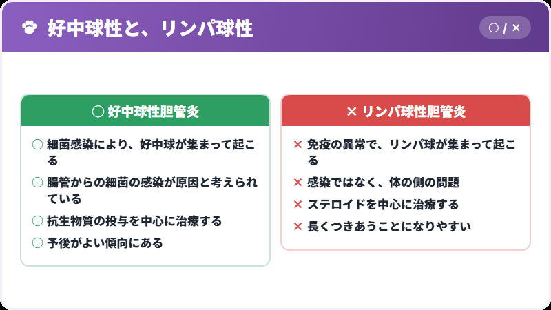 二つの型