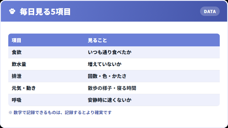 毎日確認したい5つの項目