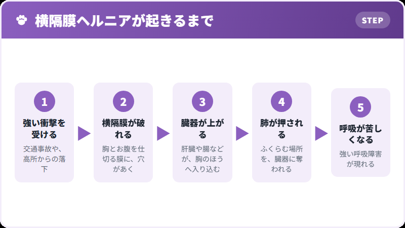 何が起きるか