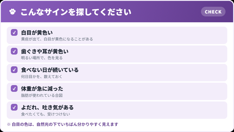 家で見つけられるサイン