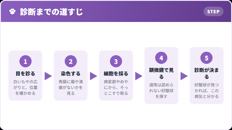 診断の流れ