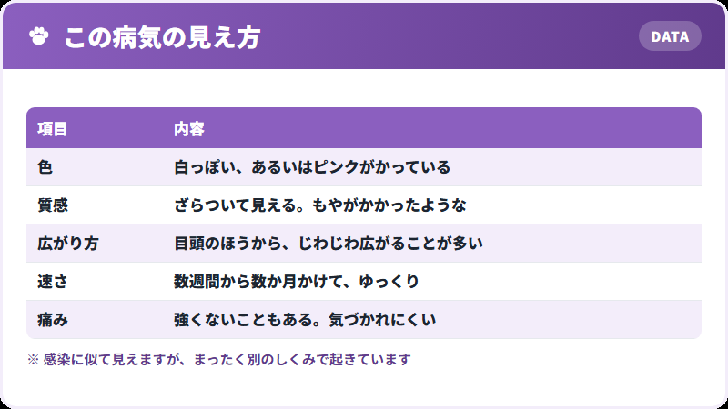 見た目の特徴