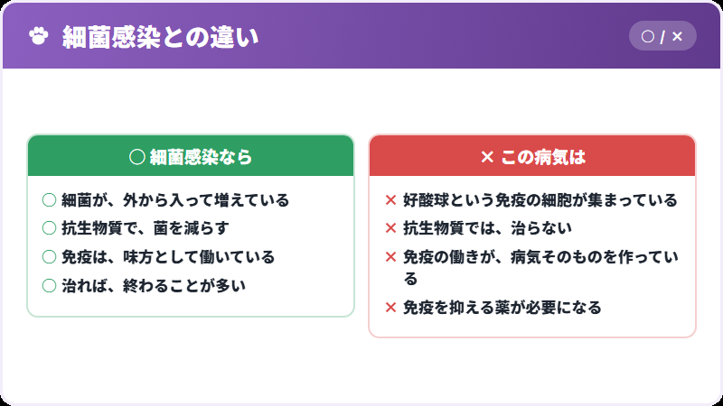感染と免疫の違い