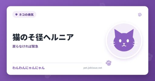 猫のそ径ヘルニア