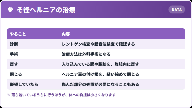 手術の中身