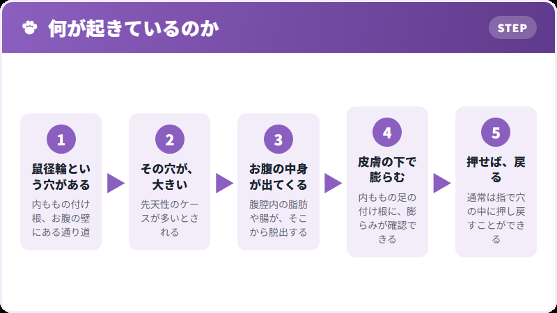 そ径ヘルニアのしくみ
