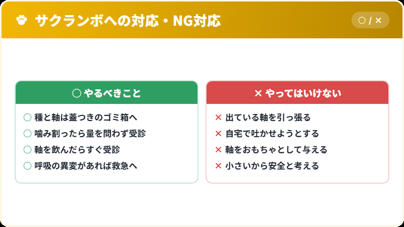 猫がサクランボを食べたときの正しい対応とNG対応