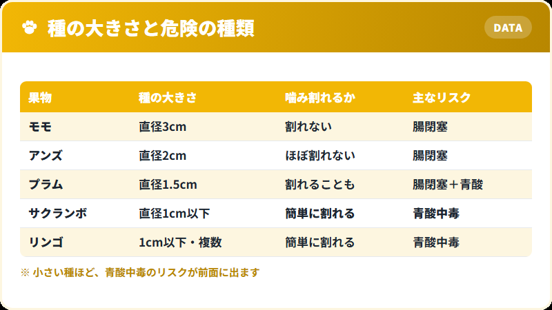 サクランボの種が小さいことがかえって危険になる理由