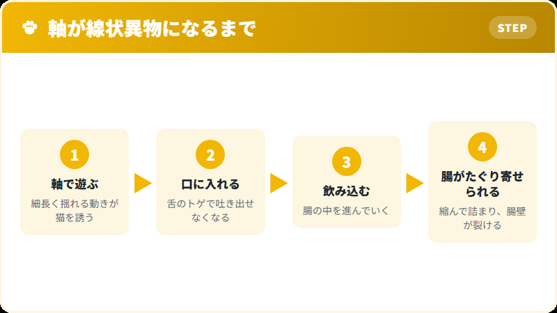 サクランボの軸が線状異物として危険になる理由