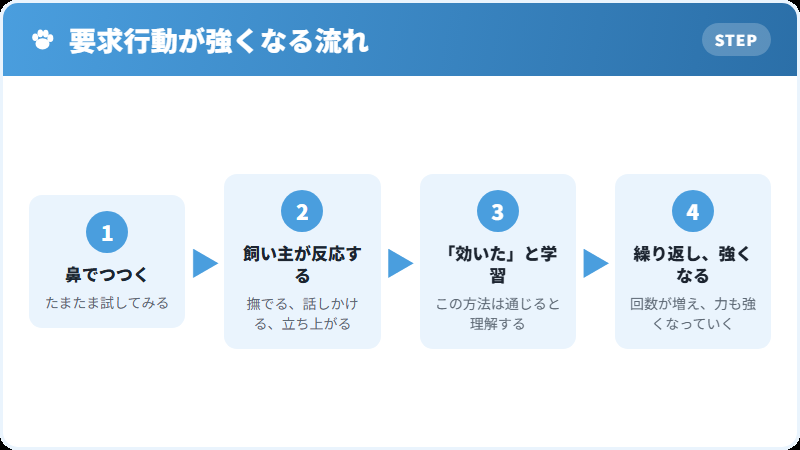 犬の要求行動が強化されていく仕組み