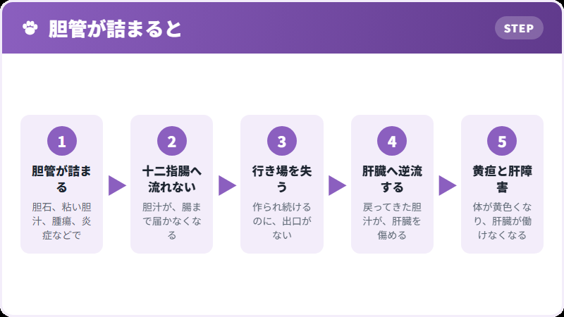 詰まってから起きること