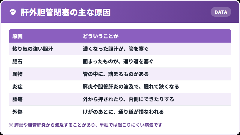 詰まる原因
