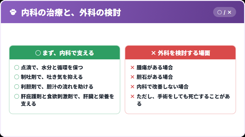 治療の組み立て