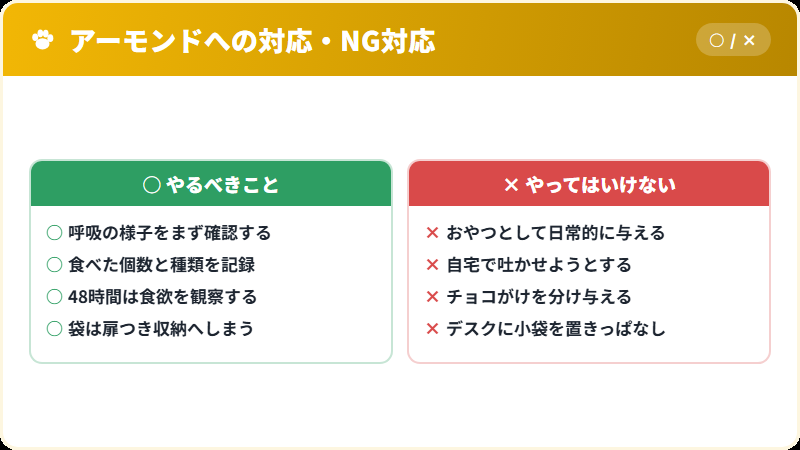 猫がアーモンドを食べたときの正しい対応とNG対応