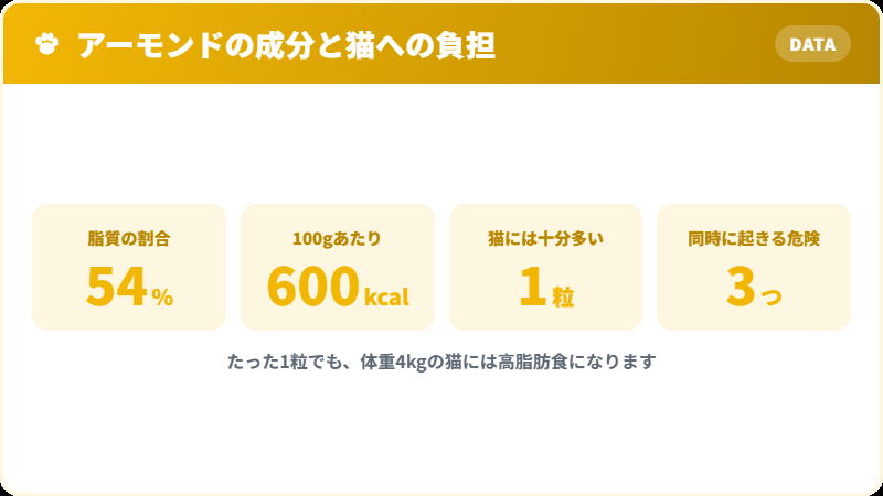 アーモンドの脂質量と猫にとっての負担