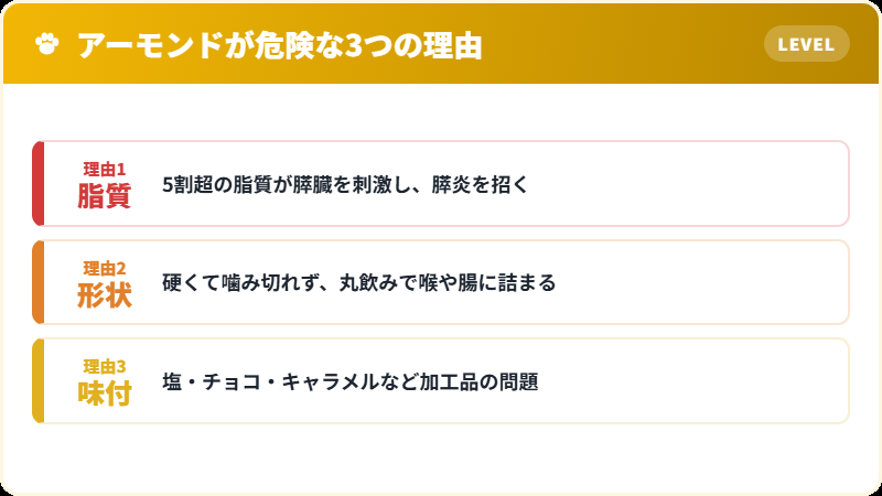 猫にとってアーモンドが危険な3つの理由
