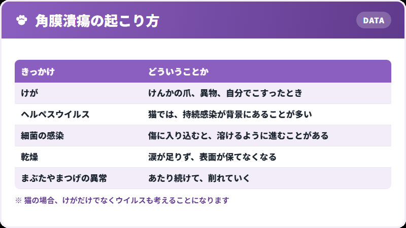 潰瘍を起こすもの