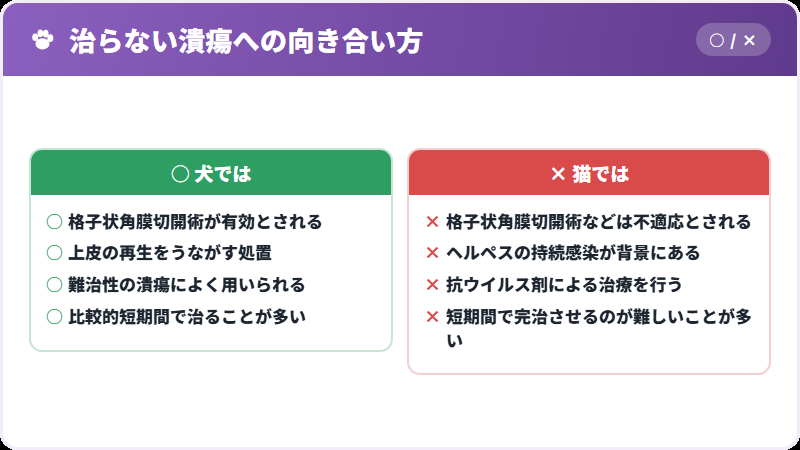 犬との違い