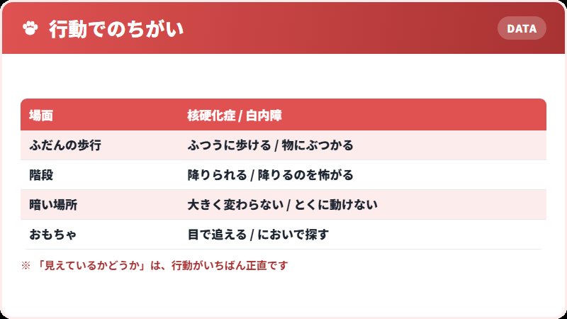 行動で見分ける