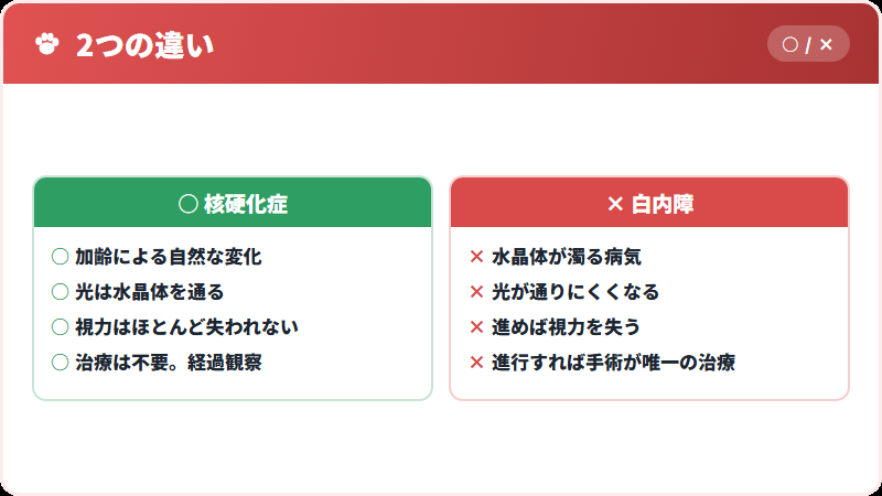 核硬化症と白内障の違い