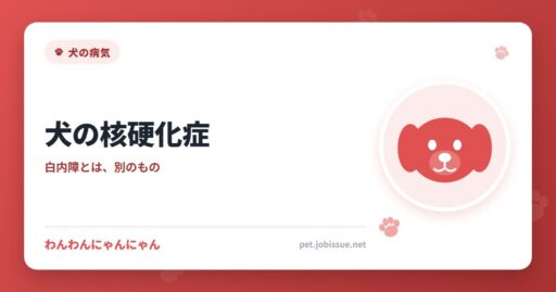 犬の核硬化症