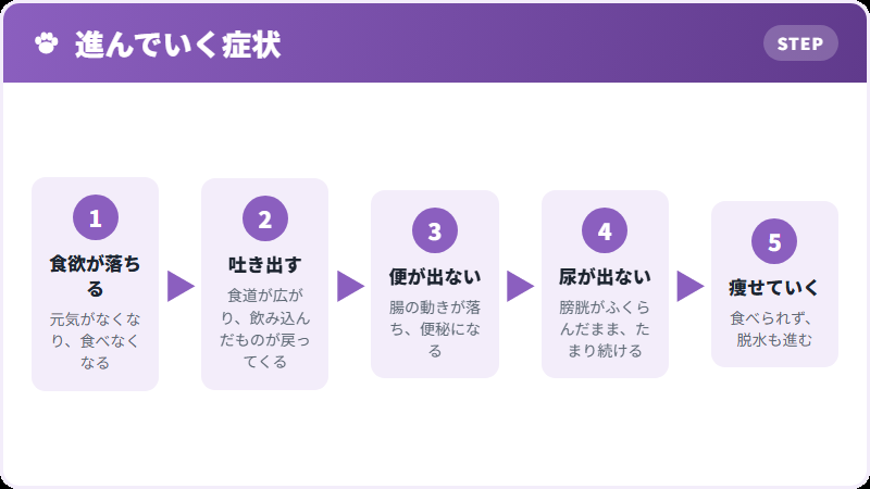 全身の症状
