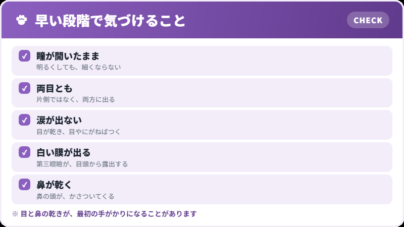 目に出るサイン
